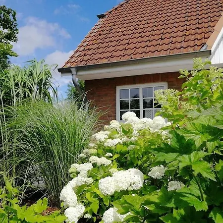 Home Comfortable Vacation Apartman