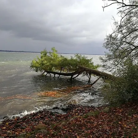 Apartamento Home Comfortable Vacation Drispeth