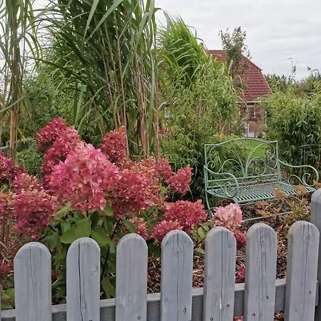 Apartamento Home Comfortable Vacation Drispeth